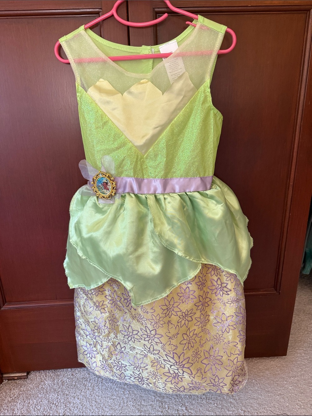 Princess Tiana Costume
